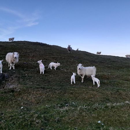 Skye Stays Staffin Bagian luar foto