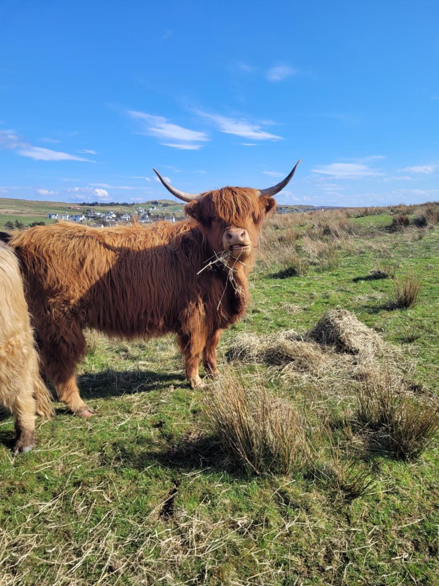 Skye Stays Staffin Bagian luar foto